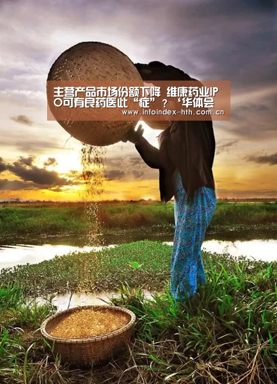 主营产品市场份额下降 维康药业IPO可有良药医此“症”?‘华体会官方首页’(图3) 华体会官方首页