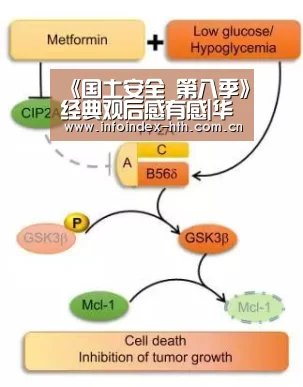 华体会