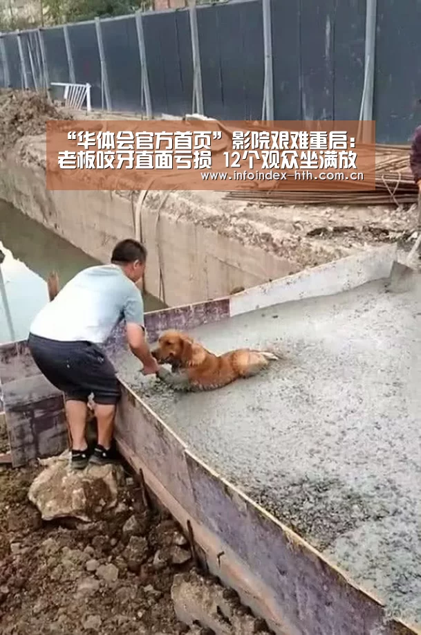 “华体会官方首页”影院艰难重启：老板咬牙直面亏损 12个观众坐满放映厅(图2)
