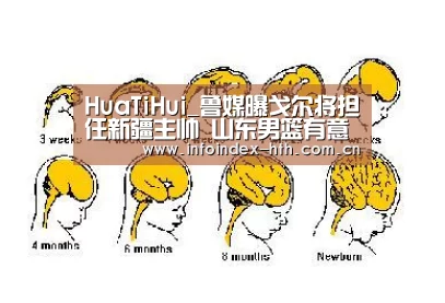 华体会